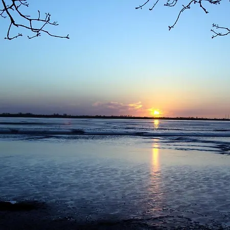 Albert, Vermittlung Nordsee *